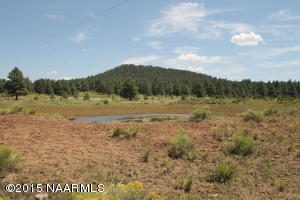 Beautiful 14.63 acre property in the City Limits of Williams. This parcel has great potential for commercial development. Level lot with fantastic views of the surrounding mountains. Two large water catchments on the property. Two adjoining parcels could be purchased to make a total of 26.21 acres. Owner has an inactive AZ Real Estate License.