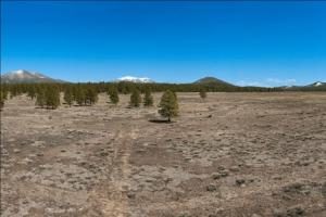 What a spectacular parcel site for your new custom northern Arizona home! Part of this parcel is open meadow and part is dense trees. Backs up to the Kaibab Forest which lends itself to endless horseback riding.