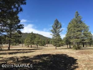 26.21 acres in the City limits of Williams. This beautiful property has magnificent Ponderosa pines, fantastic views of surrounding mountains. Existing home is approximately 1100 square feet and is being sold as-is. There is a great 30' x 40' drive through metal shop next to home. The value of this sale is entirely in the land. There are two large water catchment tanks on the property. 